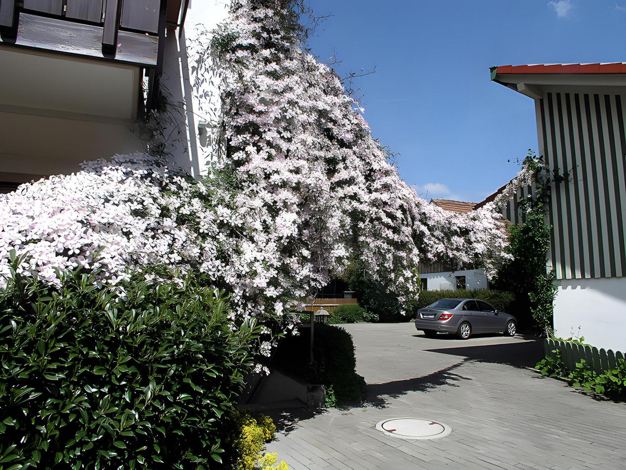 Gaestehaus Gutensohn Wasserburg Extérieur photo